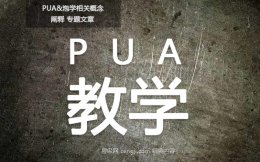 pua教学是怎样进行的？靠谱吗？网络课如何
