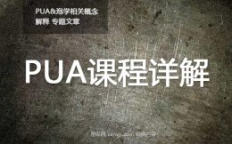 pua课程教学分析 哪个pua导师的课程最好？