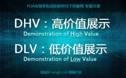 dhv是什么意思-dhv案例说明-dlv的意思（高价值和低价值）